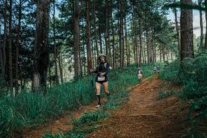 BIB: 
                            <button type="button" onclick="openModal(25757770)" class="btn btn-primary btn-sm float-right btn-popup" data-toggle="modal" data-target=".modal-high-quality">
                        <i class="fas fa-shopping-cart"></i> Add to Cart
                    </button>
                                            <button type="button" onclick="isThisMe(25757770, true)" class="btn btn-success btn-sm float-right btn-popup btn-isme hidden" data-toggle="tooltip" data-placement="bottom" title="นี่คือรูปของคุณใช่ไหม คลิกที่นี่เพื่อเอาเข้าอัลบั้ม">
                        <i class="fas fa-plus"></i> Add to album
                    </button>
                    <button type="button" onclick="isThisMe(25757770, false)" class="btn btn-warning btn-sm float-right btn-popup btn-isnotme hidden">
                        <i class="fas fa-ban"></i> Remove from album
                    </button>